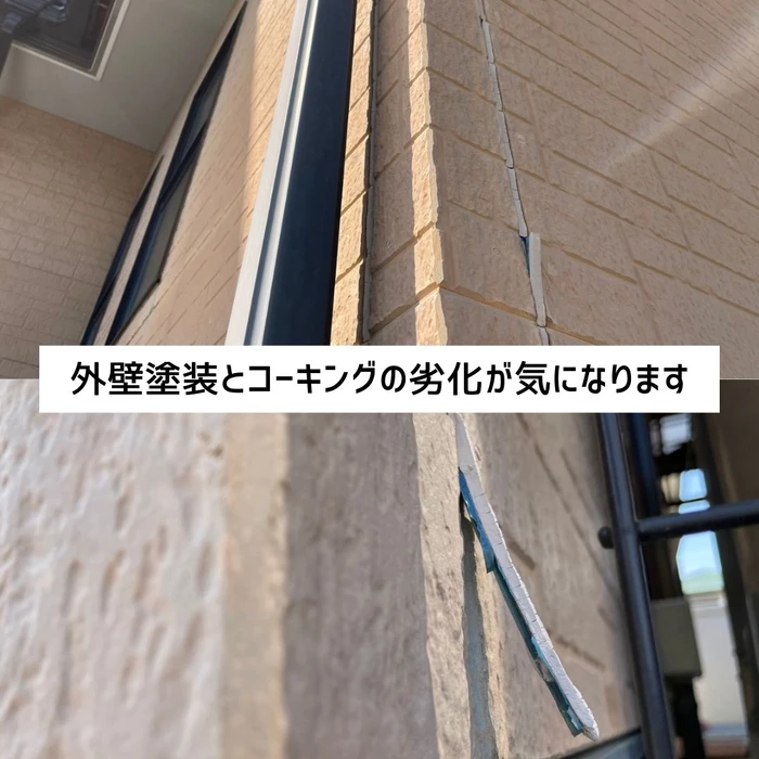 画像317