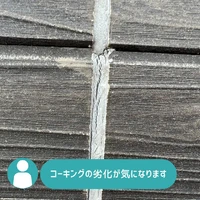 画像344