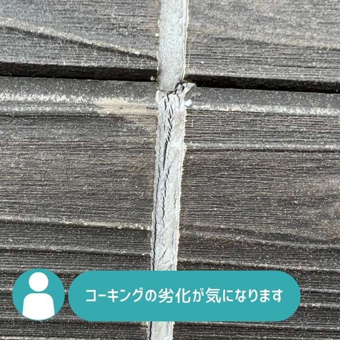 画像344