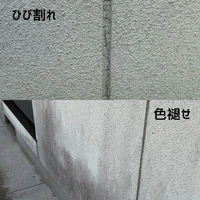 画像357