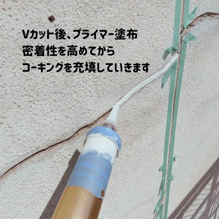 画像395