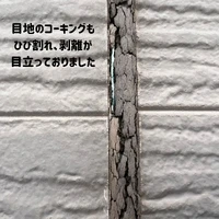 画像411