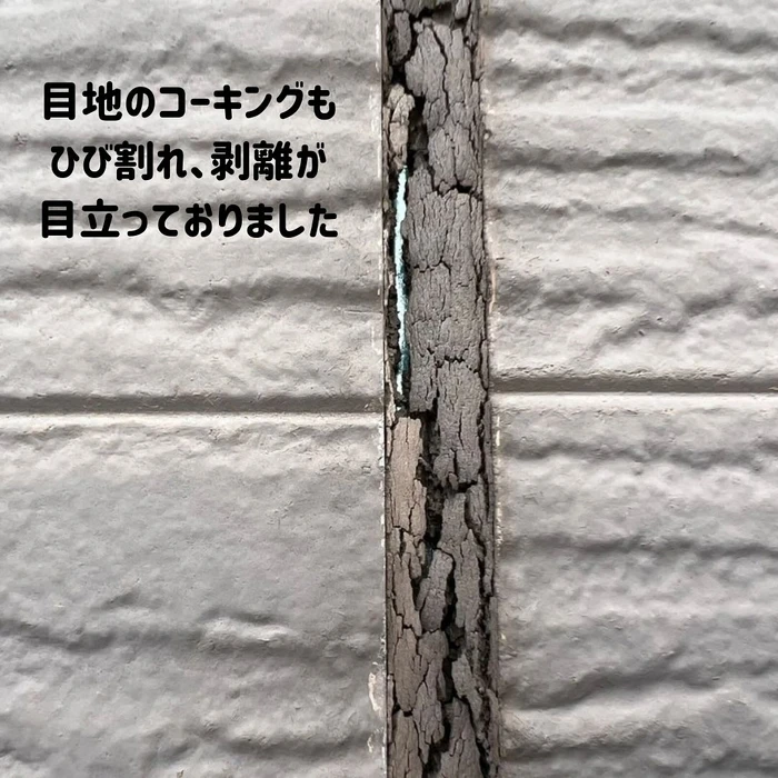 画像411